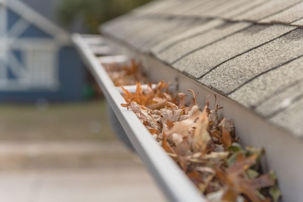 Leaf Barrier Installation in Olathe