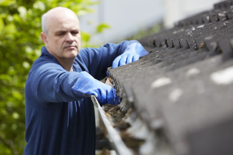 Gutter Maintenance and Cleaning