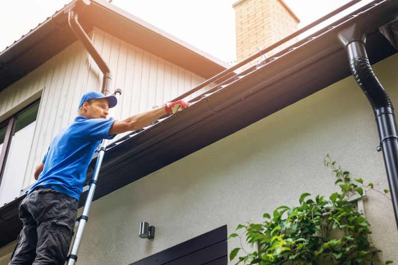 Gutter Maintenance and Cleaning